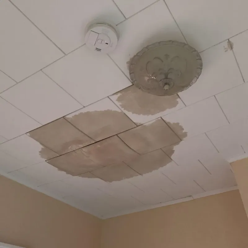Ceiling Water Damage Repair in North Chicopee, MA
