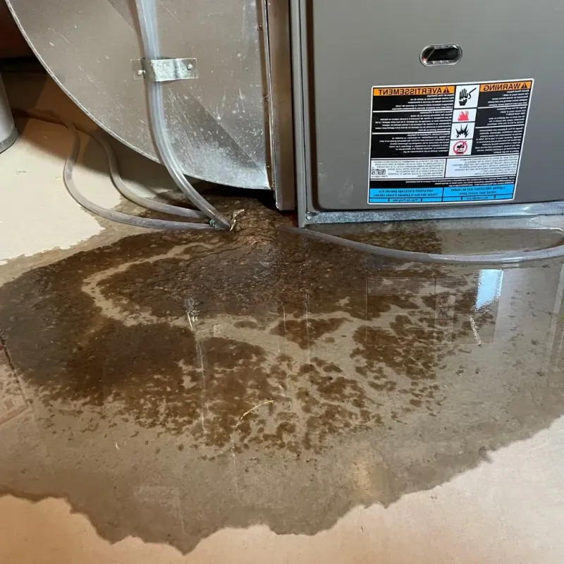 Pipe Burst and Leak Restoration in North Chicopee, MA